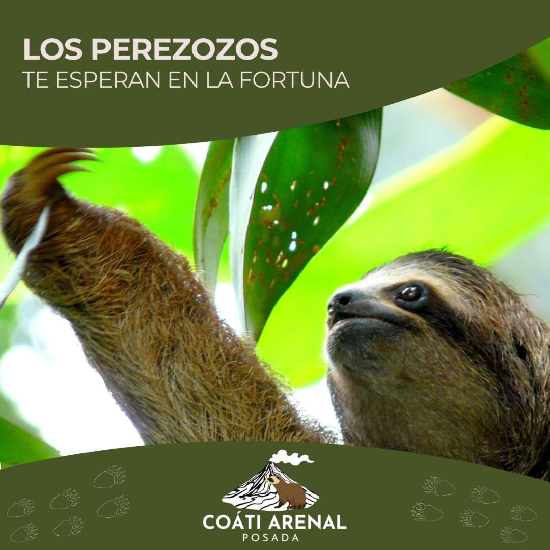 Coati Del Arenal Posada La Fortuna Exterior foto